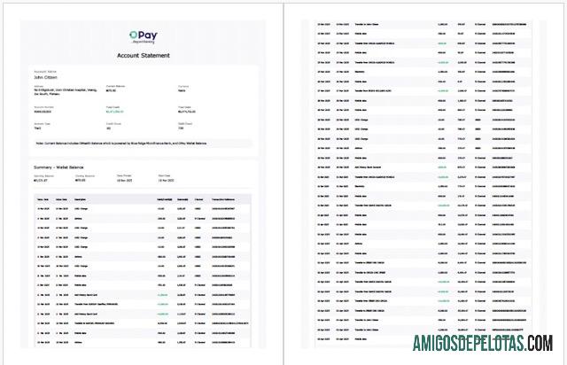 Extrato de conta Opay da Nigéria para impressão, modelo Word e PDF, 2 páginas